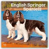 BrownTrout English Springer Spaniel Kalender 2026