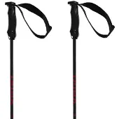 Völkl Rentastick Carbon Stöcke