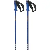 Salomon Polar Pro Stöcke