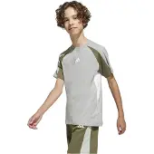 Adidas Seasonal Essentials Colorblock Kurzarm-t-shirt