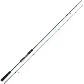 Daiwa Tournament Ags Spinnrute