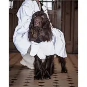 PAIKKA Hunde Regenmantel leicht & reflektierend "Visibility Raincoat Lite" taupe