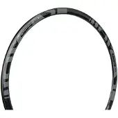 Gtr Rr Disc Felge