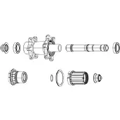 Sram Zipp Zm2 Freilaufkörper