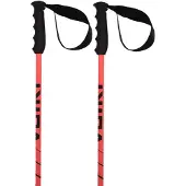 Völkl Speedstick Stöcke