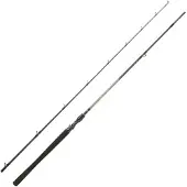 Daiwa Exceler Baitcastrute 2 Abschnitte