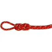 Mammut Alpine Core Protect Dry 8 Mm Seil