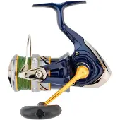 Daiwa Crest Lt Pe Tsuki 2023 Spinnrolle