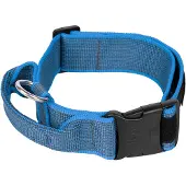 JULIUS K-9 Collar 40 Mm Hundehalsband