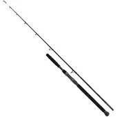 Shimano Beastmaster AX Catfish, 3m, 9,84ft, 0-400g, 2 Teile, Wels Angelrute, Moderate Fast, SBMCAXB300