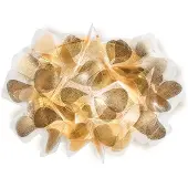 Slamp Clizia Applique Wandleuchte-Mama Non Mama Gold