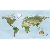 Awesome Maps Surf Trip Karte Green Edition