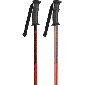 K2 France Speed Rental Stöcke