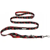 Amiplay 8in1 BeHappy S Cherry verstellbare Leine