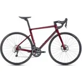 Sunn Fahrrad Asphalt S3 Shimano Tiagra 10V | Größe 2XL / 187-195 cm