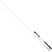 Daiwa Megaforce Jiggingrute Silber 1.80 m / 30-80 g Silber 1.80 m