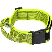 JULIUS K-9 Collar 50 Mm Hundehalsband