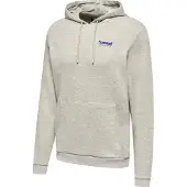 Hummel Kapuzenpullover LGC Austin