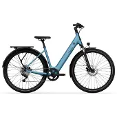Tenways Elektrofahrrad CGO800 Plus
