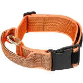 JULIUS K-9 Collar 50 Mm Hundehalsband