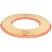 FILTRON Luftfilter AP027