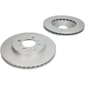 Delphi Bremsscheiben BG4148C vorne, belüftet, 2 Stück