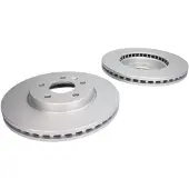 Delphi Bremsscheiben BG4191C vorne, belüftet, 2 Stück