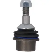 Delphi Traggelenk für JEEP GRAND CHEROKEE IV (WK, WK2) TC3677