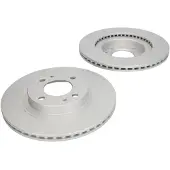 Delphi Bremsscheiben BG4820C vorne, belüftet, 2 Stück