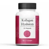 Phytochem Nutrition Ug (Haftungsbeschrän Phytochem Kollagen&Hyaluron Kapseln 120 St