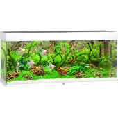 Juwel Rio 240 LED - Aquarium