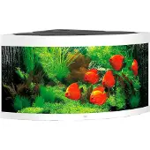 Gebr. De Boon Trigon 350 LED Aquarium Set weiß