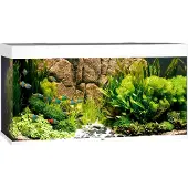Gebr. De Boon Rio 350 LED weiß - Aquarium