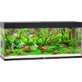 Juwel Rio 240 LED schwarz - Aquarium