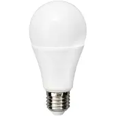 Flos Leuchtmittel LED 21W (2452lm) A65 3000K E27 - Greenplux