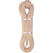 BEAL Access 10.5 Mm Seil