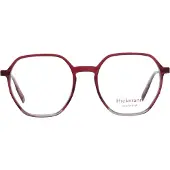Ana Hickmann Brille HI6225 H03 50