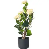Beliani Camellia