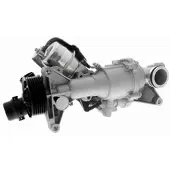VAICO Wasserpumpe Green Mobility Parts V30-50101