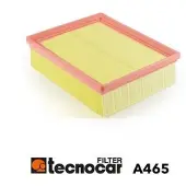 TECNOCAR Luftfilter A465