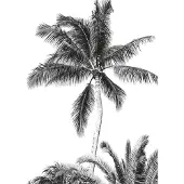 Overig Vliestapete "Digitaldruck Vlies - Retro Palm - Größe 200 x 280 cm" bedruckt glatt Kinderzimmer