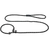 Rogz Dog Hundehalsband