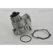 TRISCAN Wasserpumpe 8600 11034