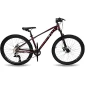 RALI Pro 0 Aluminium 26´´ Ty300 Mountainbike