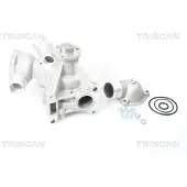 TRISCAN Wasserpumpe 8600 23982