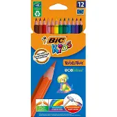 BIC Evolution