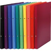 Exacompta 51199E A4 Ringbuch Multicolour