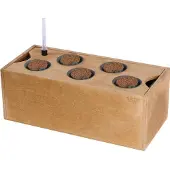 Siena Garden Hydroponikgefäss aus Holz