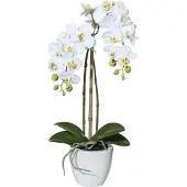 Creativ Green Kunstpflanze "Orchidee Phalaenopsis" im Keramiktopf