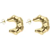 NAEMI Women Earrings in Gold | Gr.: onesize